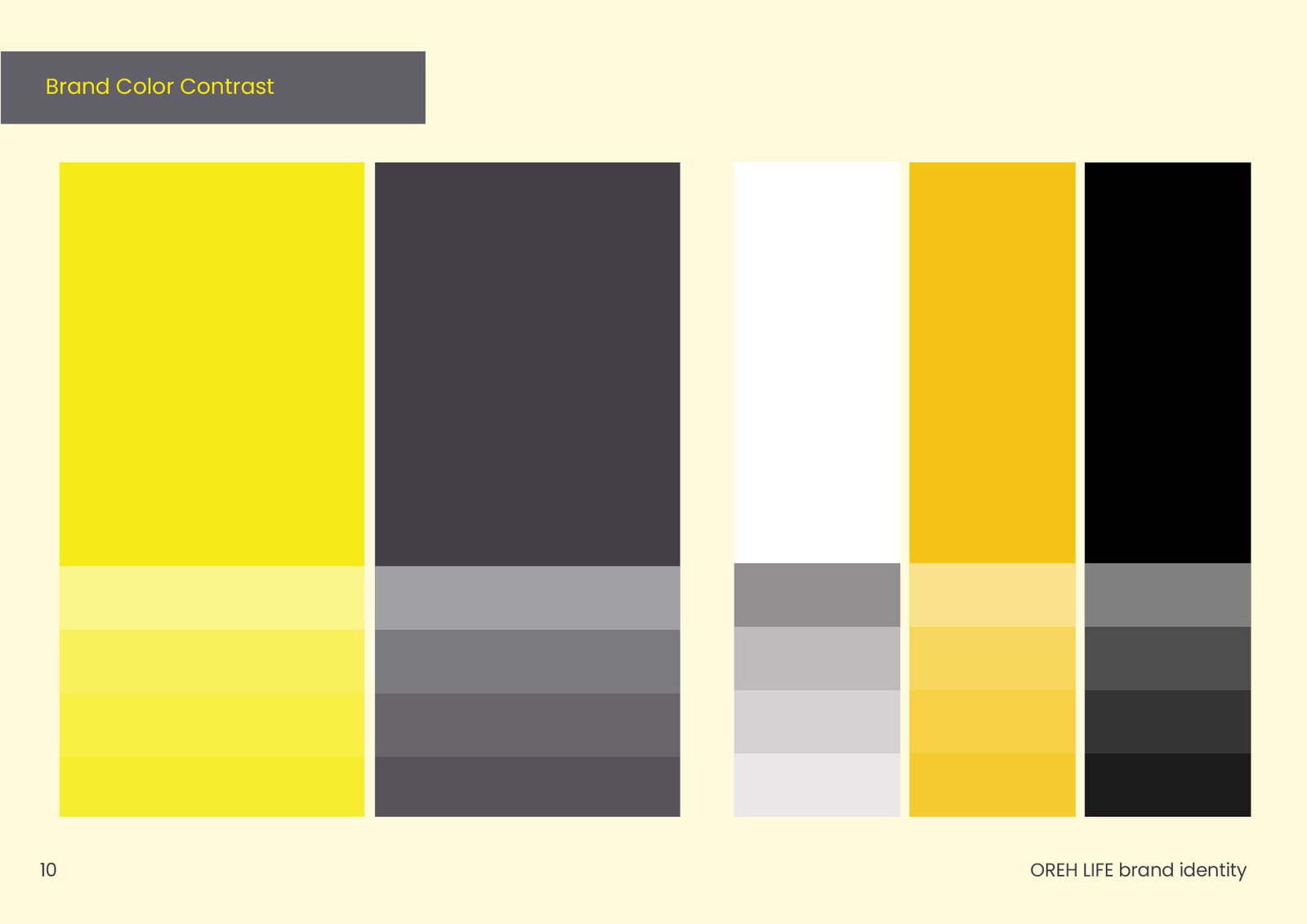 Project Visual 12